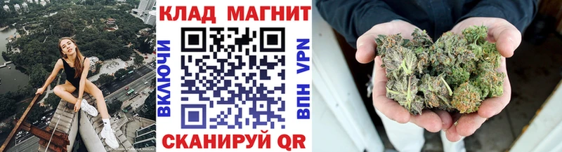 Бошки Шишки Суджа